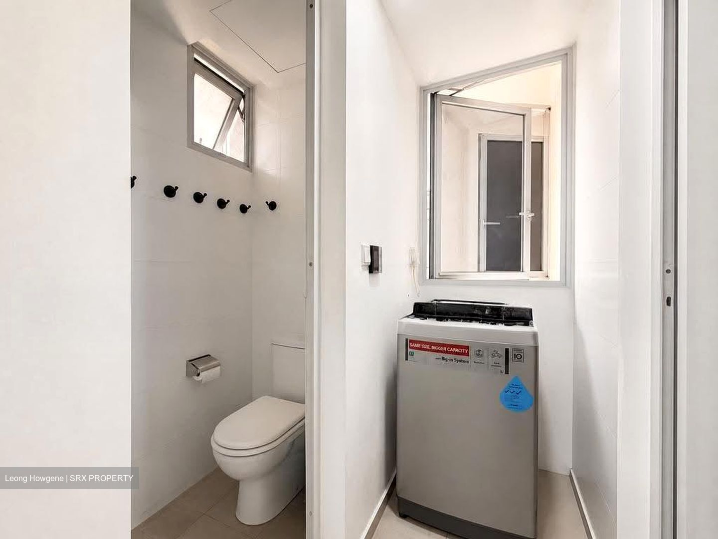 Ecopolitan (D19), Condominium #608118531